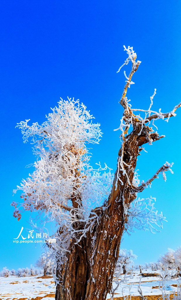 ½ϣڡ续3